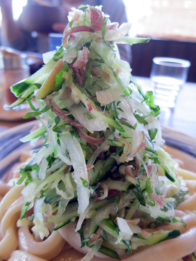 麺の上にそびえる夏野菜タワー