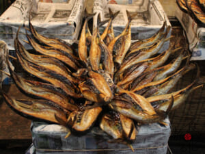 若狭小浜の浜焼きサバ