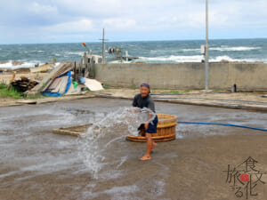 海からくみ上げた水を撒く