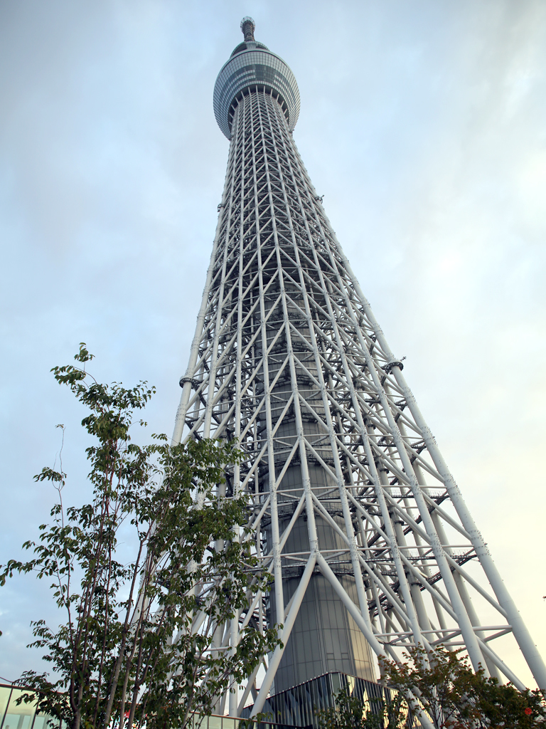 隅田川沿いにそびえる東京スカイツリー