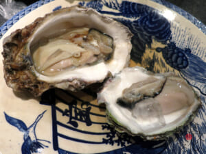 鳥取市で食べた岩牡蠣