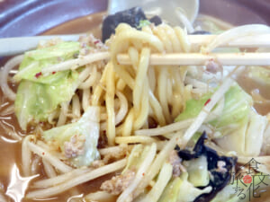 つけ麺のような太麺