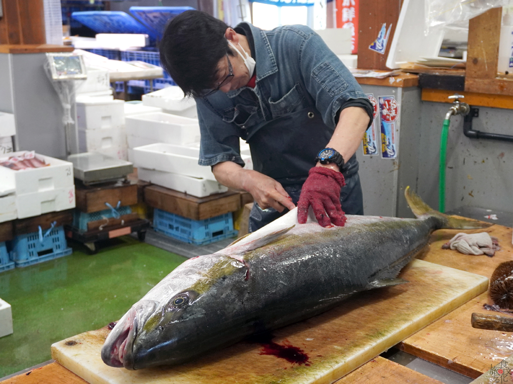 巨大なヒラマサをさばく栂野さん